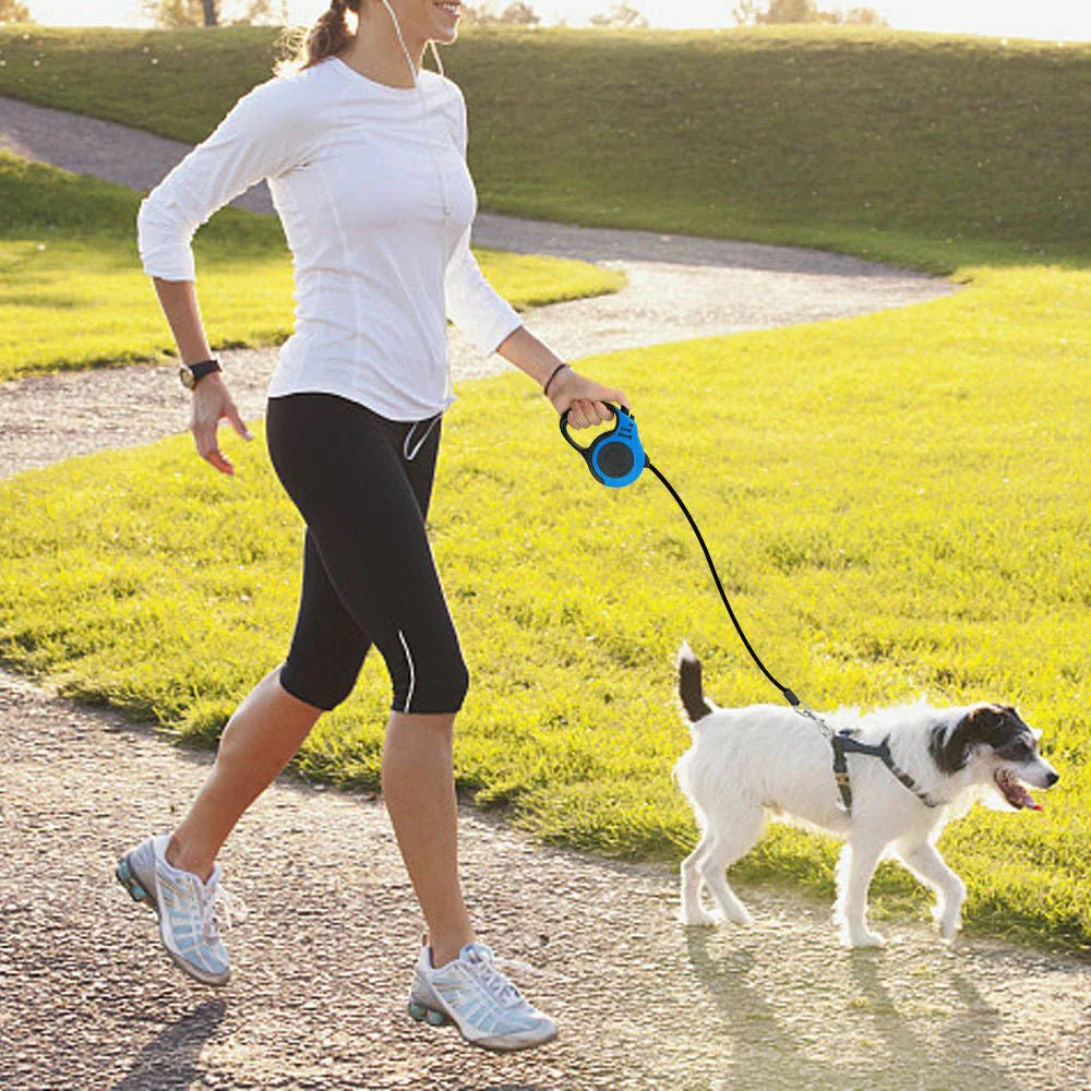Retractable Dog Leash | Auto Lock & Dual Size Options - ilvpets