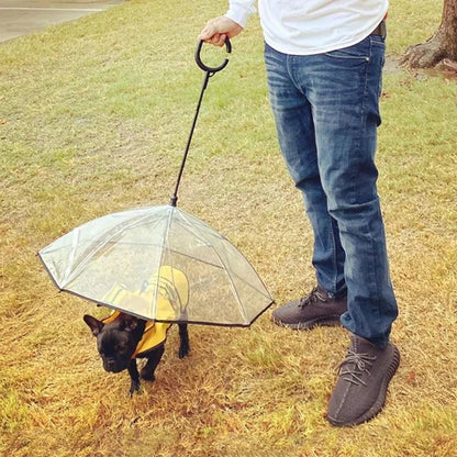 Dog Umbrella with Leash | Keep Pets Dry in Rain - ilvpets