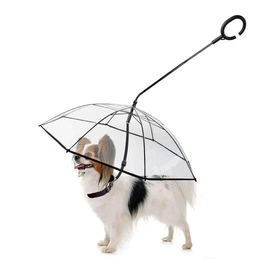 Dog Umbrella with Leash | Keep Pets Dry in Rain - ilvpets